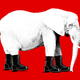 Illustration for article titled The Leaked Chats That Show How a Far-Right Group Is Trying to Infiltrate the GOPem/em